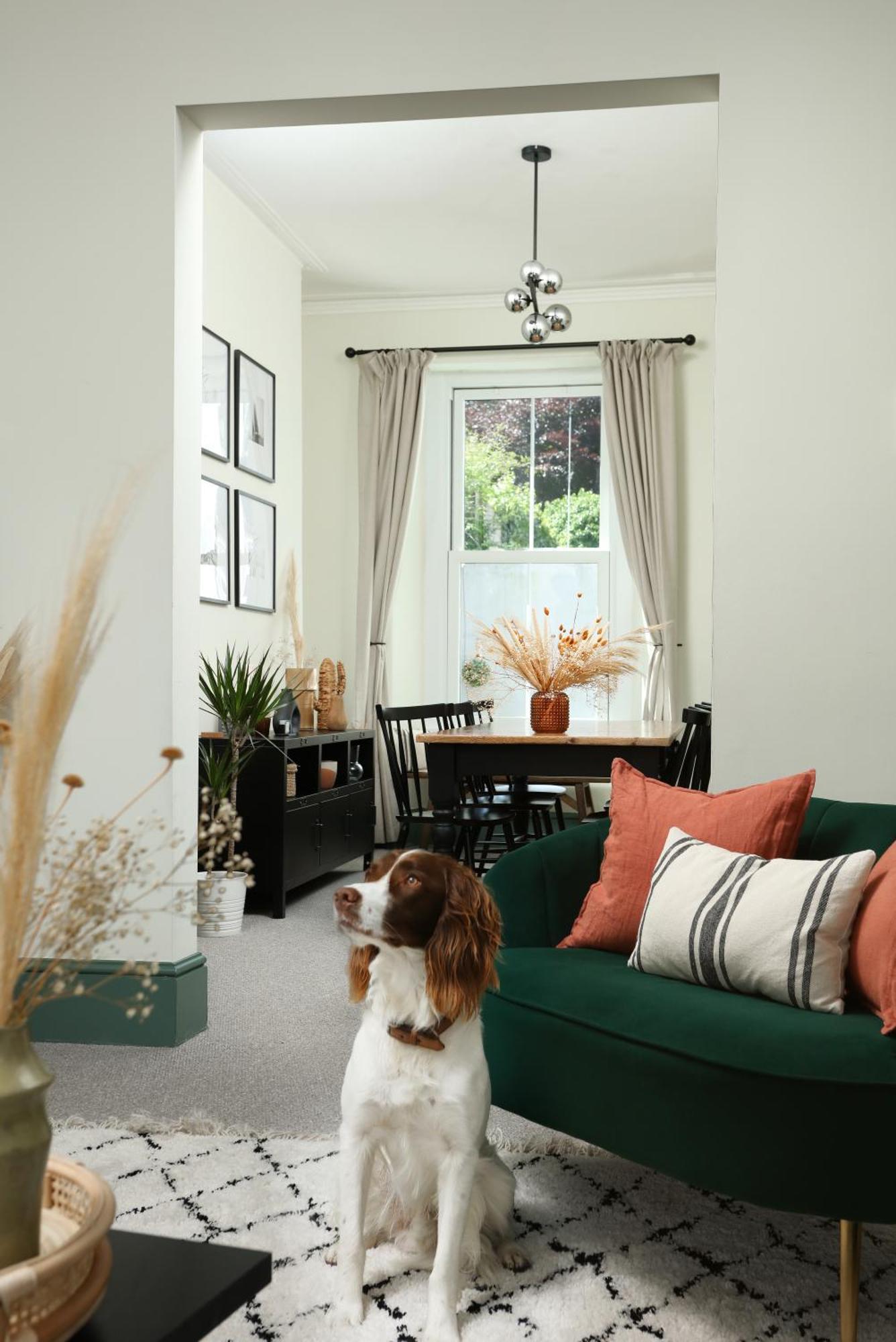 New Luxury For 2024 - Central Plymouth House - Sleeps 10 - Access To Plymouth Town - Close To The Barbican - Pets Welcome - Parking Available - By Luxe Living By Sophia Exteriér fotografie